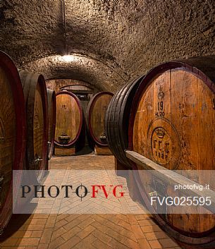 Wine barrels of the Cantina Pisoni located between the Dolomites and Lake Garda, specializing in Vino Santo, red and white wines of Trentino Alto Adige, Valley of Lakes, Valle dei Laghi, Italy