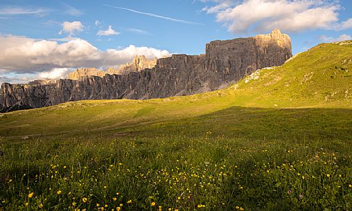 The Lastoi de Formin and the flowers meadows of Giau Pass, Cortina D'Ampezzo, Dolomites, Italy