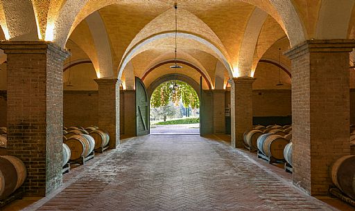 Wine cellar of wine growing-company Russiz Superiore of Roberto Felluga located in Capriva del Friuli, Friuli Venezia Giulia, Italy