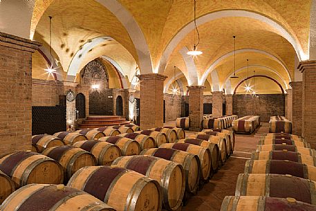 Wine cellar of wine growing-company Russiz Superiore of Roberto Felluga located in Capriva del Friuli, Friuli Venezia Giulia, Italy