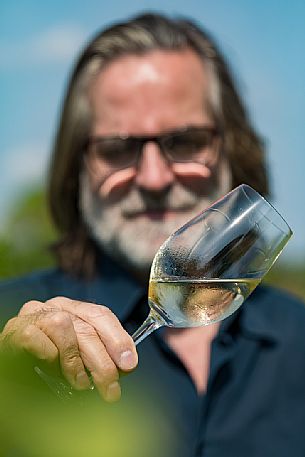 Roberto Felluga, owner of the wine-growing company Russiz Superiore, with a glass of Ribolla gialla wine, Capriva del Friuli, Friuli Venezia Giulia, italy
