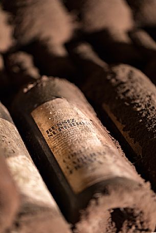 Aged bottles of wine of historic Russiz Superiore cellar of Roberto Felluga located in Capriva del Friuli, Collio, Friuli Venezia Giulia, italy