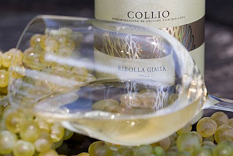 Bottle and glass of Ribolla Gialla wine in the historic cellar Russiz Superiore by Roberto Felluga, Capriva del Friuli, Friuli Venezia Giulia, Italy