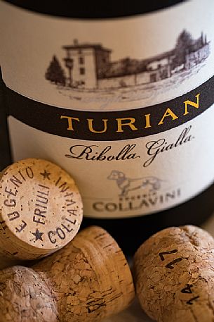 Eugenio Collavini vineyards bottles and cork stoppers of Corno di Rosazzo, Friuli Venezia Giulia, Italy