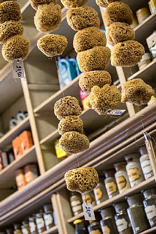Sea sponges hanging from the ceiling are a feature of the historic Toso grocery store since 1906 in Trieste, Friuli venezia Giulia, Italy