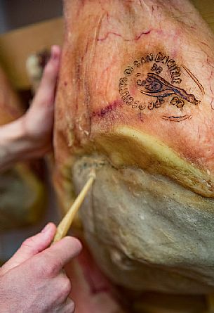 Checking Prosciutto ham of La Casa del Prosciutto, the historic ham company of the Alberti family in San Daniele del Friuli, Friuli Venezia Giulia, Italy