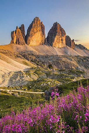 Tre Cime di Lavaredo illuminated by sunset, Dolomites, South Tyrol, Italy