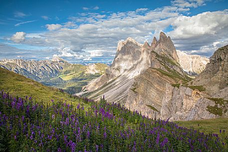 The Odle group photographed from Seceda, Dolomites, Ortisei, Italy