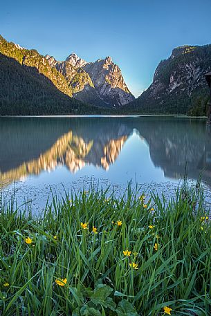 The Dobbiaco lake, Dolomites, Dobbiaco, Italy The Dobbiaco lake, Dolomites, Dobbiaco, Italy