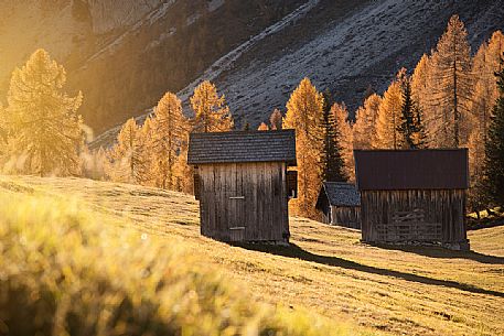 Barns in the field of Croda Rossa during an autumn morning, Sesto, Pusteria Valley, Trentino Alto Adige, Italy