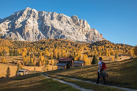 Autumnal hiking in the Armentara meadows, Fanes Senes Braies natural park, Val Badia, Trentino Alto Adige, Italy