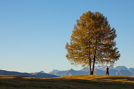 Tourist admires the panoramic view from  the Armentara meadows, Fanes Senes Braies natural park, Val Badia, Trentino Alto Adige, Italy