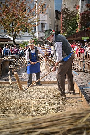 Wheat beating show during the traditional festival of bread and strudel in Bressanone, Isarco valley, Trentino Alto Adige, Italy, Europe