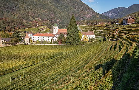 Vineyards around the Abbey of Novacella, one of the most prestigious abbeys in the Alps, Varna, Isarco valley, Trentino Alto Adige, Italy, Europe