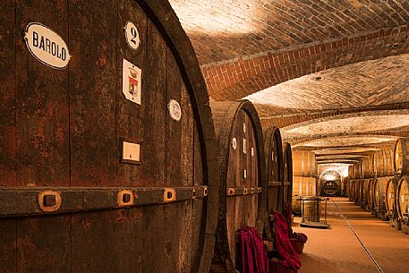 Detail of historic wine cellar of Casa E. di Mirafiore e Fontanafredda in Serralunga d'Alba, Langhe, Piedmont, Italy, Europe