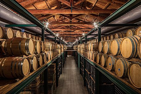 The historic winery Cordero di Montezemolo  in the heart of the Barolo wine production area, La Morra, Langhe, Unesco World Heritage, Piedmont, Italy, Europe