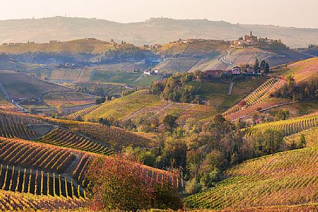 The vast expanses of vineyards of the Langhe at sunset, in the background the village of Castiglione Falletto, Unesco World Heritage, Piedmont, Italy, Europe