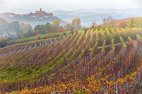 Vineyards of the Langhe in a foggy day, in the background the village of Castiglione Falletto, Unesco World Heritage, Piedmont, Italy, Europe