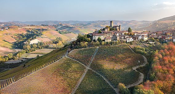 Castiglione Falletto village and the vineyards of the Langhe, Unesco World Heritage, Piedmont, Italy, Europe