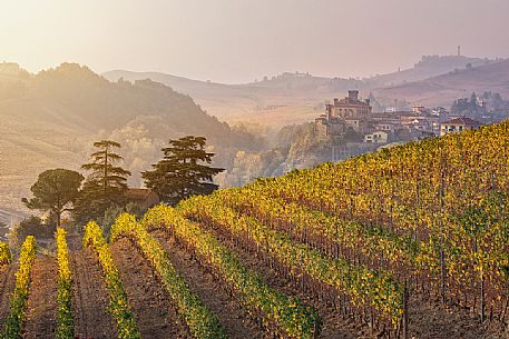 Vineyards of the Langhe in autumn, in the background the castle of Falletti di Barolo, Unesco World Heritage, Piedmont, Italy, Europe