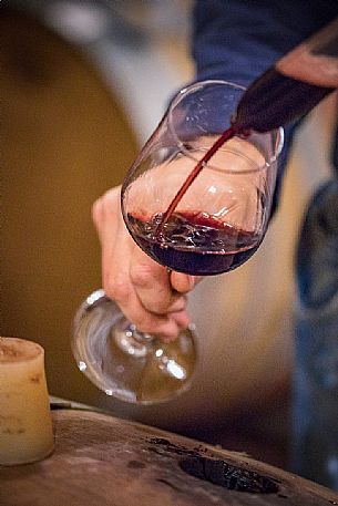 Wine tasting at Cascina Ballarin winery, La Morra, Langhe, Unesco World Heritage, Piedmont, Italy, Europe