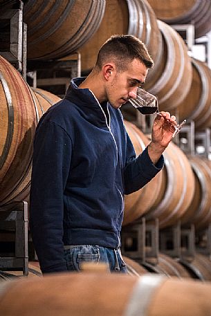 Barolo wine tasting at the Cascina Ballarin winery, La Morra, Langhe, Unesco world Heritage, Piedmont, Italy, Europe