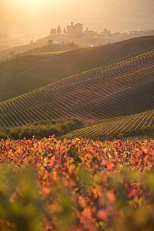 The vast expanses of vineyards of the Langhe in autumn, in the background the castle of Grinzane Cavour, Unesco World Heritage, Piedmont, Italy, Europe