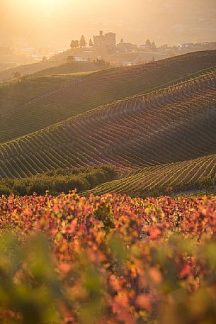 The vast expanses of vineyards of the Langhe in autumn, in the background the castle of Grinzane Cavour, Unesco World Heritage, Piedmont, Italy, Europe The vast expanses of vineyards of the Langhe in autumn, in the background the castle of Grinzane Cavour, Unesco World Heritage, Piedmont, Italy, Europe