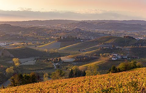 Panoramic view of vineyards of the Langhe in autumn near Grinzane Cavour, unesco world Heritaga, Piedmont, Italy, Europe