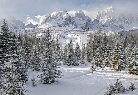 The mountains of Comelico Superiore and Sesto along the hike that leading to Malga Nemes, Sesto, Pusteria valley, Trentino Alto Adige, Italy, Europe