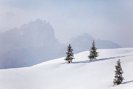 Snow-covered landscape il the Nemes Alp, Tre Scarperi mount in the background, Sesto, dolomites, Pusteria valley, Trentino Alto Adige, Italy, Europe