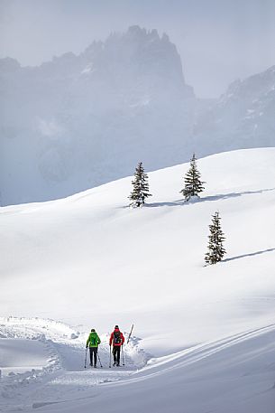 Hikers in the Nemes alp, in the background the Tre Scarperi mount, Sesto, dolomites, Pusteria valley, Trentino Alto Adige, Italy, Europe