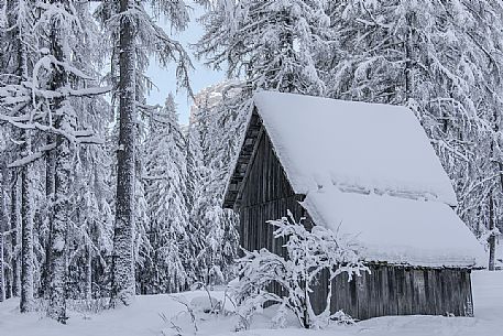 Snowy barn in Campo di Dentro valley, Sesto, dolomites, Pusteria valley, Trentino Alto Adige, Italy