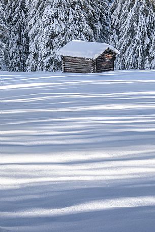 Games of lights and shadows on the snow in Campo di Dentro valley, Sesto, dolomites, Pusteria valley, Trentino Alto Adige, Italy Games of lights and shadows on the snow in Campo di Dentro valley, Sesto, dolomites, Pusteria valley, Trentino Alto Adige, Italy