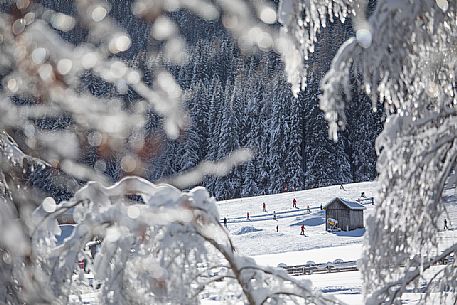 Foreshortening on the ski slopes of Sesto, dolomites, Pusteria valley, Trentino Alto Adige, Italy, Europe