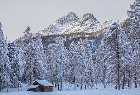 Traditional barn in the Campo di Dentro valley after an intensive snowfall, Sesto, Pusteria valley, Trentino Alto Adige, Italy, Europe Traditional barn in the Campo di Dentro valley after an intensive snowfall, Sesto, Pusteria valley, Trentino Alto Adige, Italy, Europe