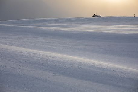 Monte Piana plateau caressed by the last lights of the sunset, dolomites, Auronzo di Cadore, Veneto, Italy, Europe