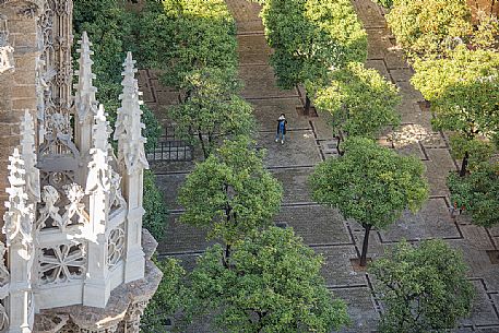 Patio de los Naranjos, the park of the cathedral of Seville or Church of Santa Maria della Sede from the Giralda tower, Seville, Spain, Europe