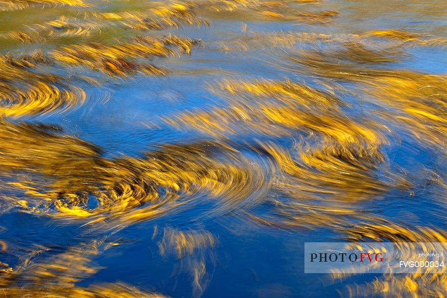 Seaweed in the water, Staffin Bay