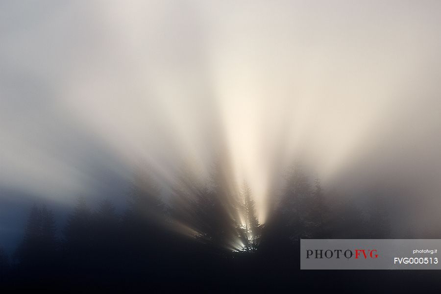 Rays of light through the trees in autumn at sunrise in the Trossachs