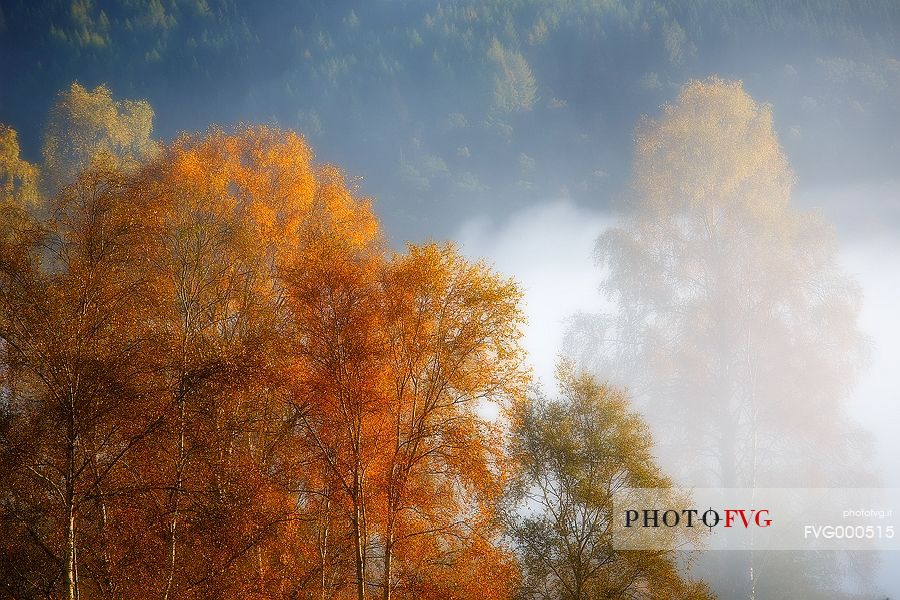 Misty autumn sunrise in the Trossachs