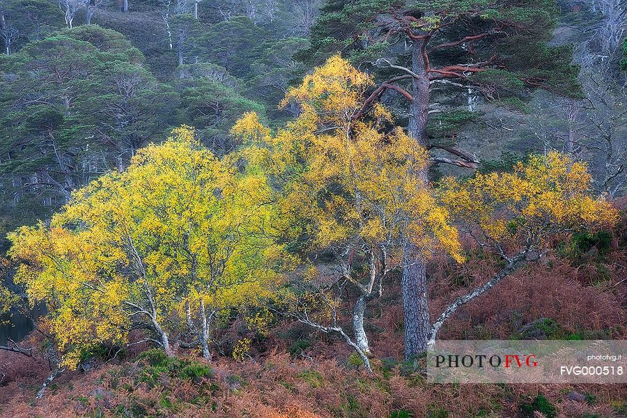 Torridon Valley in autumn