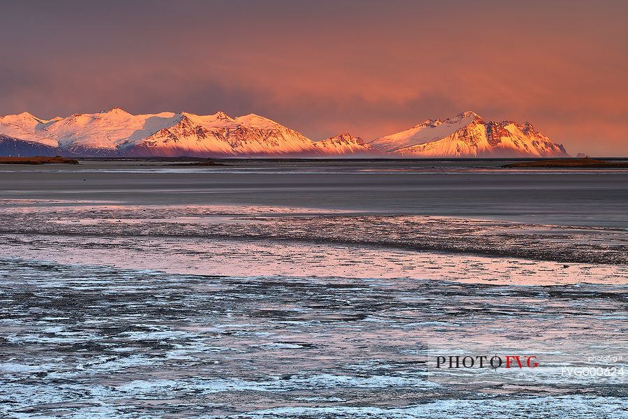 A frozen gulf nearby Hofn.