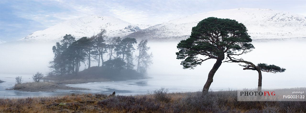Misty and cold morning at Loch Tulla
