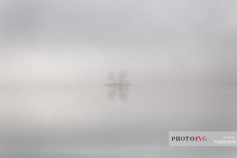 A small isle of trees shows up through the fog 