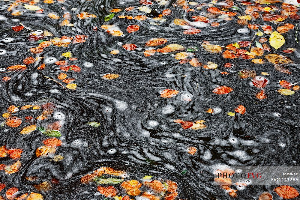 Autumn foliage dances above the water of the Birks