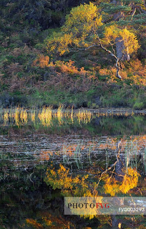 Beautiful reflection and light at Glen Torridon