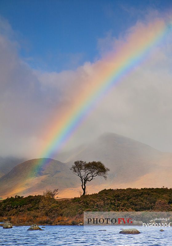 Due to the Scottish changeable weather it's quite common to admire fascinating rainbow during Autumn time