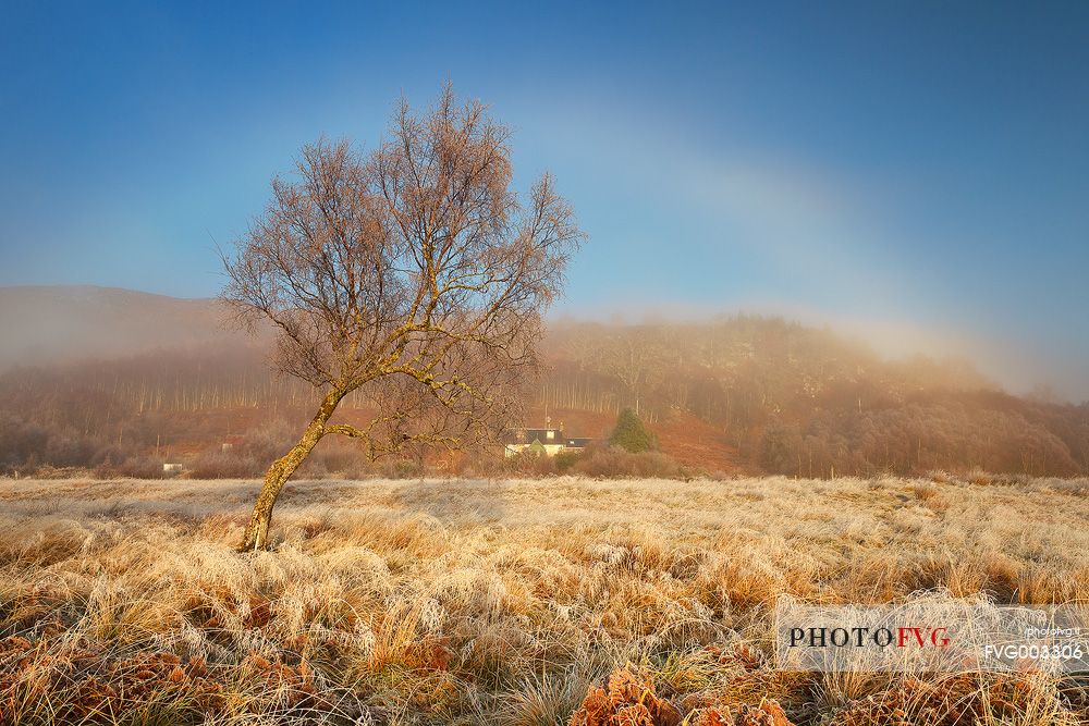 An impressive Halo embraces the ladnscape in the morning