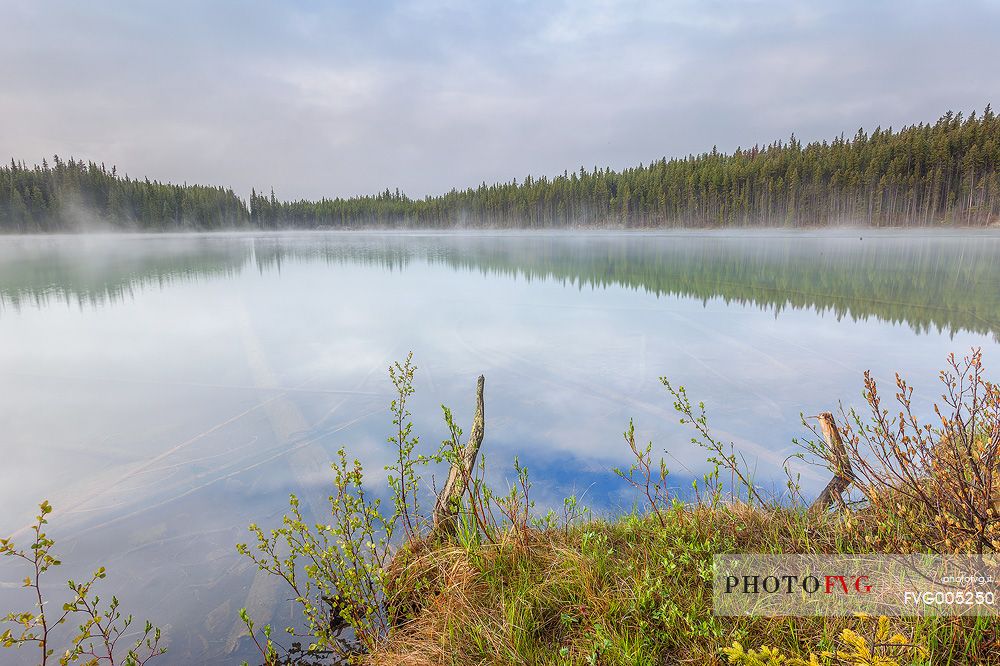 Misty morning at Herbert Lake